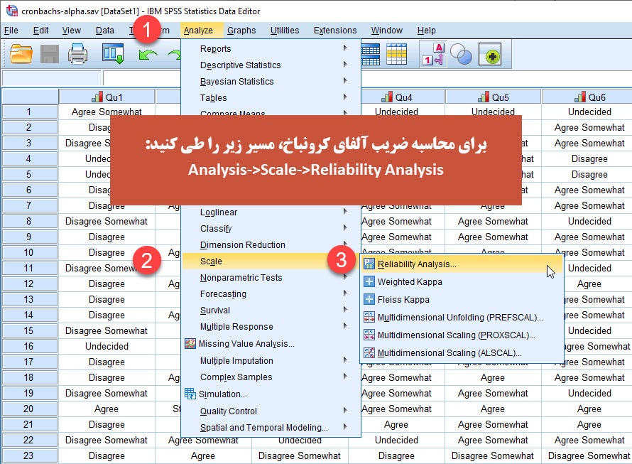 whats cronbachs alpha spss2